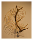 Antler Wall Piece